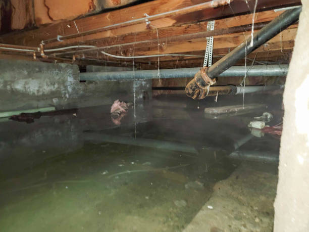 Best Water damage restoration insurance claims  in USA